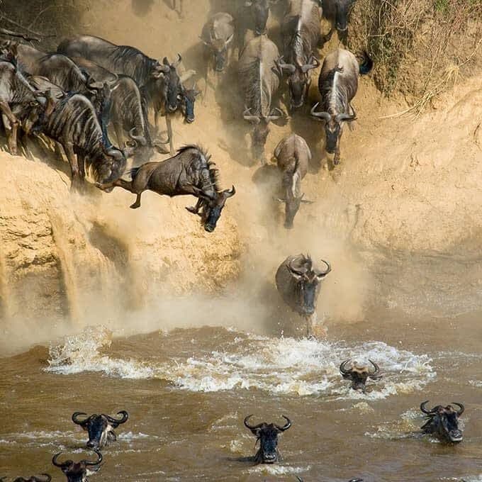3-Day Masai Mara Luxury Big 5 & Migration Safari