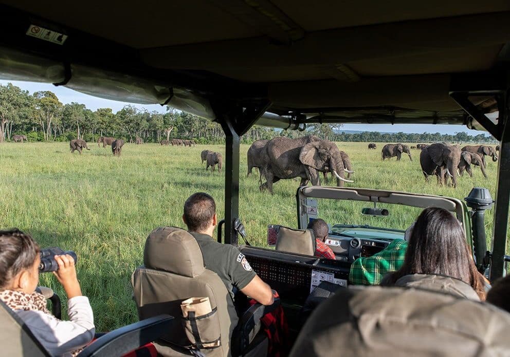 Family enjoying a safari game drive